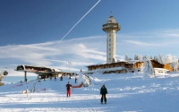 wv1_willingen_2016_8_